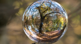 Sommeil Santé Journée éco-responsable